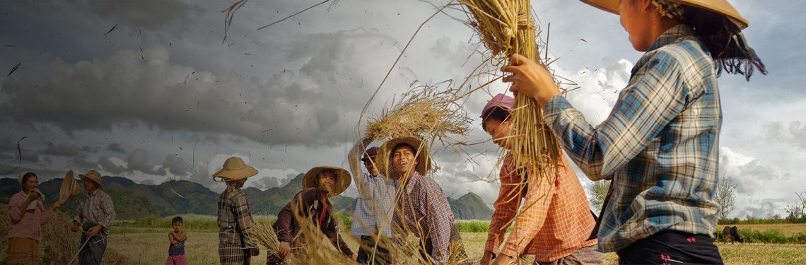 The State of Food Security and Nutrition 2021-24: Findings from seven rounds of the Myanmar Household Welfare Survey