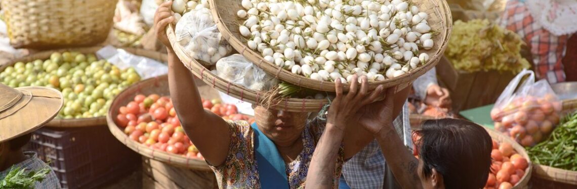 Monitoring the Agri-food System in Myanmar: The rising costs of diets – September 2024 survey