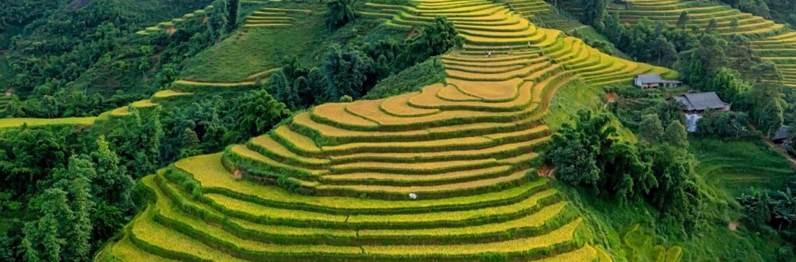 World Environment Day 2025: Tackling the Global Plastic Crisis to Regenerate Our Food Systems
